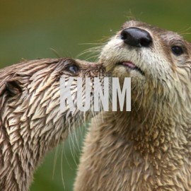 BLOG: If You Think This is Funny You Otter Get Out More…