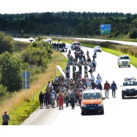 AIR: Migrants Enter Denmark, Determined To Reach Sweden